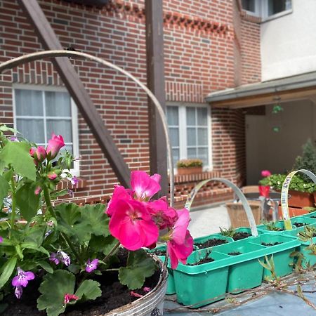 Pension Zum Blumchen 슈베린 외부 사진